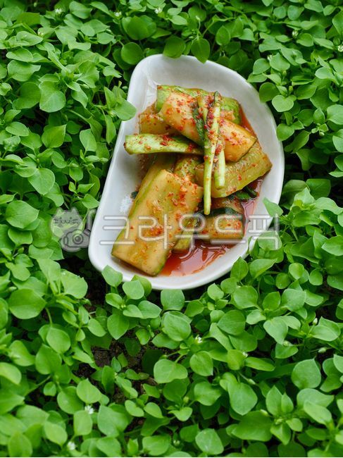 오이,오이김치,오이소박이,한식,한국음식,한국전통음식,아시아음식,김치,음식,전통,다이어트식품,반찬,곁들이는요리,한국문화,배경,건강한식생활,웰빙,웰빙음식,채소,야채,채식,cucumber,cucumberkimchi,koreanfood,koreantraditionalfood,asianfood,kimchi,food,tradition,dietfood,sidedish,koreanculture,background,healthyeating,wellbeing,wellbeingfood,vegetable,vegetariandiet,음식,식재료,요리,food,cook,meal,dishes,food reserves