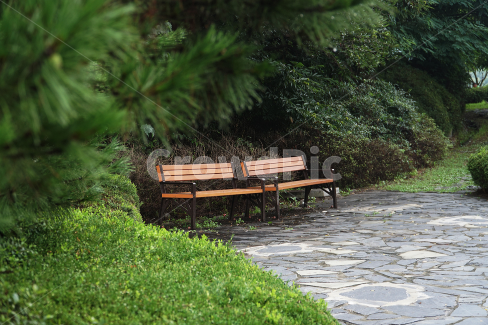 백운호수,벤치,밴치,의자,좌석,휴식,자연,앉다,앉기,chair,bench