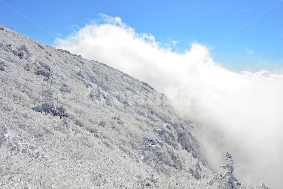 무주,덕유산,덕유산설경,겨울,계절,상고대,향적봉,중봉,nature,자연,mountain,산,outdoors,옥외,ice,빙,mountainrange,산맥,snow,눈,운해,설경,폭설,겨울,계절,winter,season,자연,풍경,nature,landscape