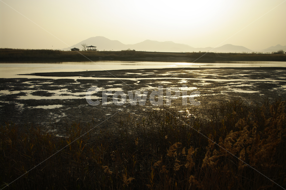 노을,풍경,plant,갯벌,강,순천만,자연,풍경,nature,landscape,한국자연풍경,한국자연경관,korea nature landscape,outdoors,옥외,land,땅,water,물,grass,잔디,식물