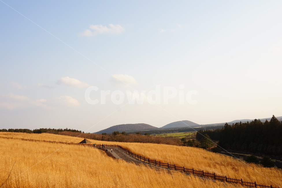 억새,들판,노을,풍경,산굼부리,sunset,feild,가을,하늘,구름