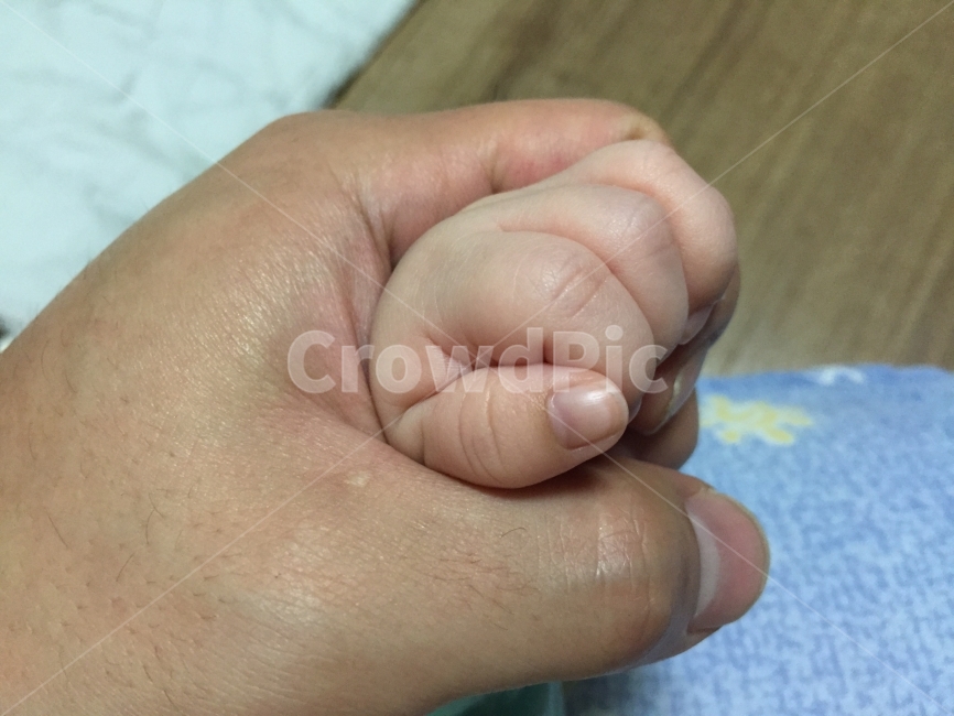 아기손,아기와아빠,아빠,부자지간,신생아,사람,인물,인간,human,person,신체일부,몸,body,가족,패밀리,family,영유아,아기,애기,아이,infants,baby