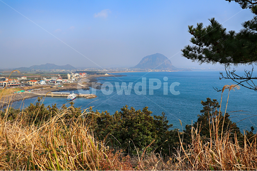 제주도,송악산,송악산둘레길,풍경,둘레길,자연,옥외,outdoors,nature,바다,해안선,sea,자연,풍경,nature,landscape