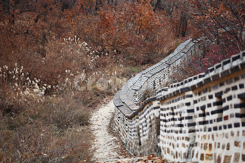 남한산성,성,성곽,단풍,낙엽,길,둘레길,담,돌담,가을,자연,풍경,벽,울긋불긋,산성,식물,가을,계절,fall,autumn,season