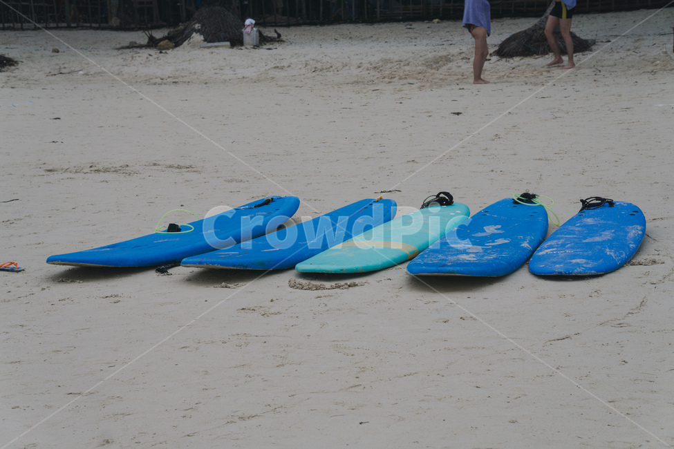 해변,바다,야자수,휴양지,감성,물놀이,휴식,서핑,여름,계절,summer,season,해변,바다,beach,sea,outdoors,옥외,water,물,nature,자연,ocean,대양