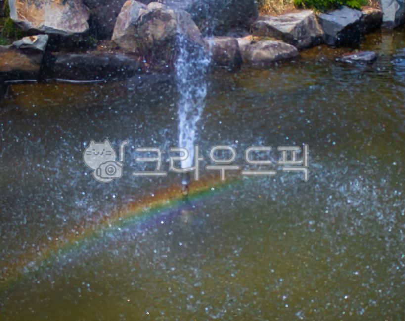 분수,무지개,물향기수목원,오산,물,호수,자연,water,nature