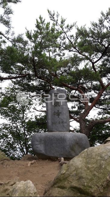 산정상,형제봉,광교산,소나무,희열,바위,자연,등산