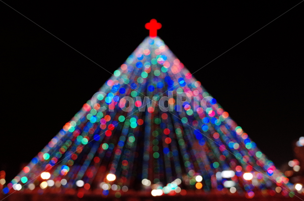 light,christmas tree,bokeh,winter,Emotion,christmas,bokeh of light