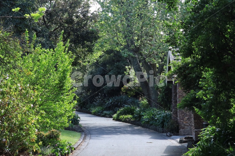 공원,외국,자연,풍경,숲,park,nature,aus,푸름,자연,풍경,nature,landscape,garden,정원,outdoors,옥외,arbour,정자,tree,나무,plant,식물