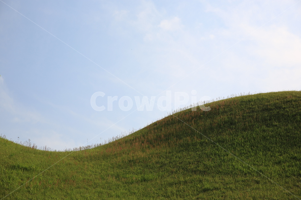 field,들,grassland,잔디,경주왕릉,언덕,자연,풍경,nature,landscape,outdoors,옥외,목초지