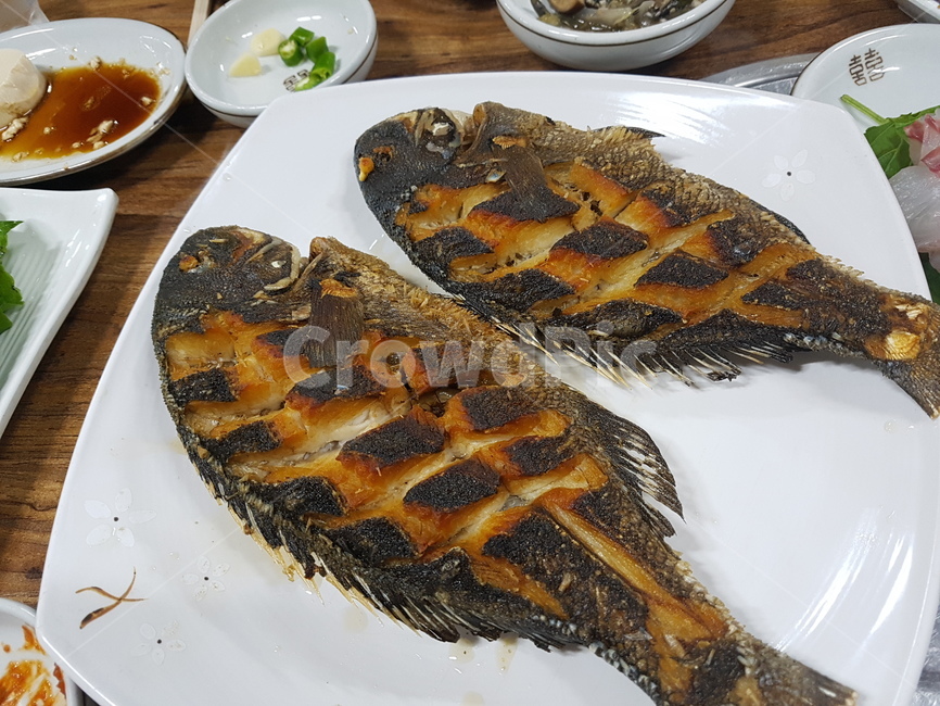 음식,생선,긴꼬리벵에돔,생선구이,요리,food,음식,식재료,요리,food,cook,meal,dishes,food reserves,수산물,해산물,fishery products,seafood