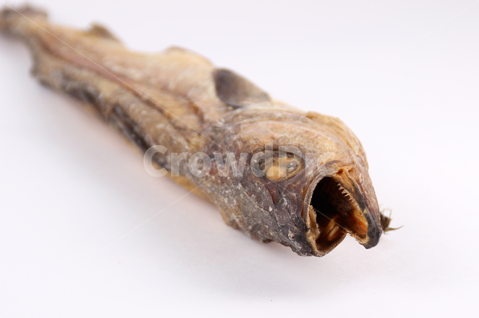 fish,물고기,황태,북어,꼬리,북어대가리,황태대가리,북어머리,음식,식재료,요리,food,cook,meal,dishes,food reserves
