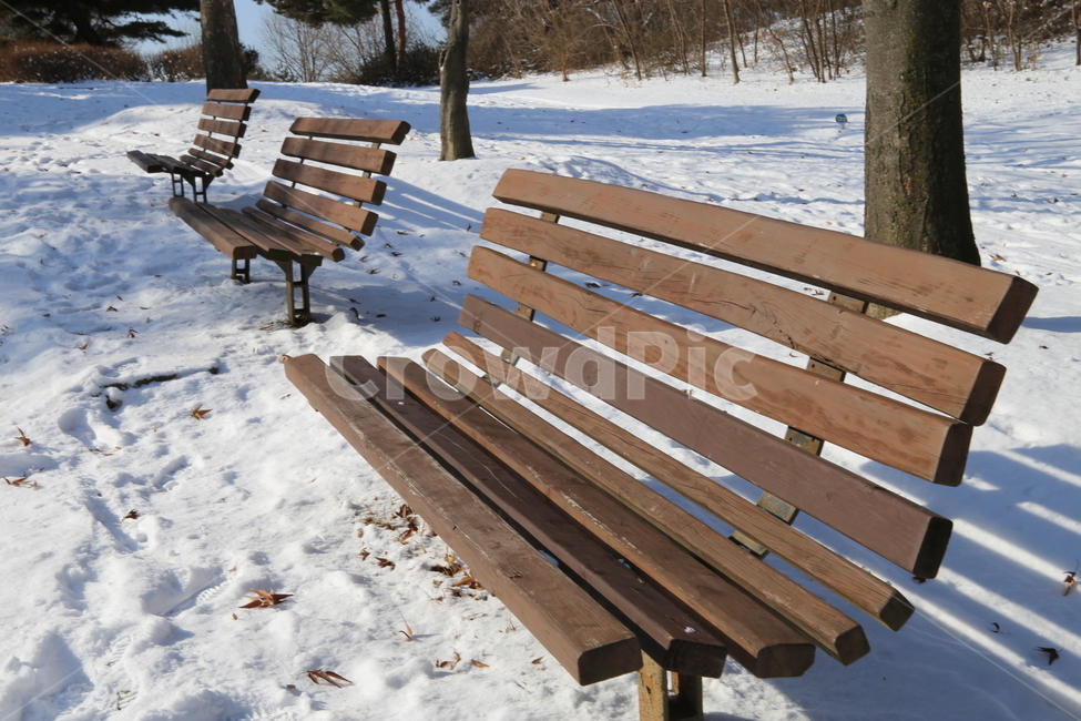 공원벤치,가구,bench,벤치,parkbench,furniture,겨울,겨울야외,야외,정원