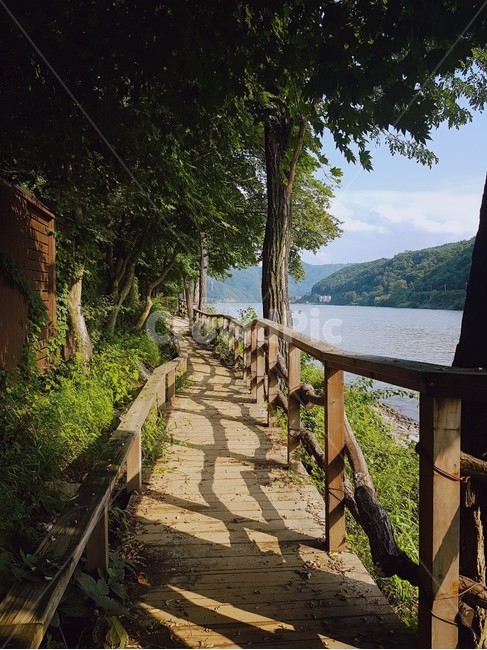 숲,숲길,나무길,산책길,자연,나무,tree,자연,풍경,nature,landscape,handrail,난간,banister