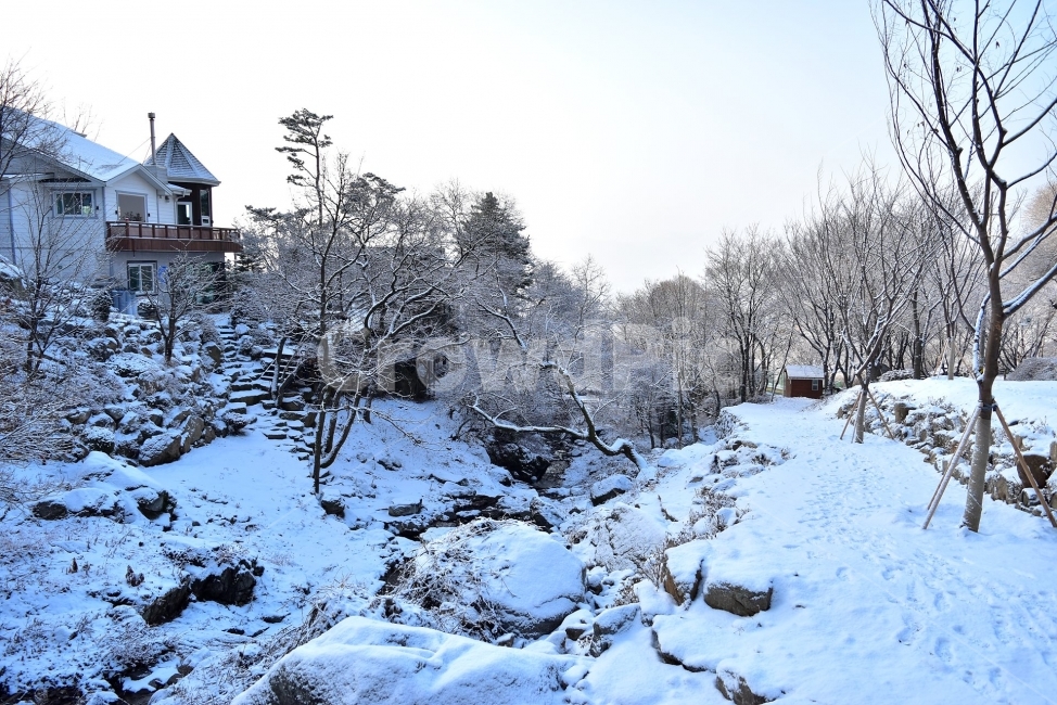 용문산,백운봉,풍경,자연,등산,트레킹,산행,마테호른,두리봉,파란,하늘,상고대,서리꽃,눈꽃,눈,눈풍경,양평,겨울,힐링,산행지,국내여행,자연풍경,산사진,비경,100대명산,감성,조망,전망,자연휴양림,세수골,겨울왕국,아름다운,수려한,겨울,계절,winter,season,자연,풍경,nature,landscape,한국자연풍경,한국자연경관,korea nature landscape,abies,아비,tree,나무,plant,식물,fir,전나무,outdoors,옥외