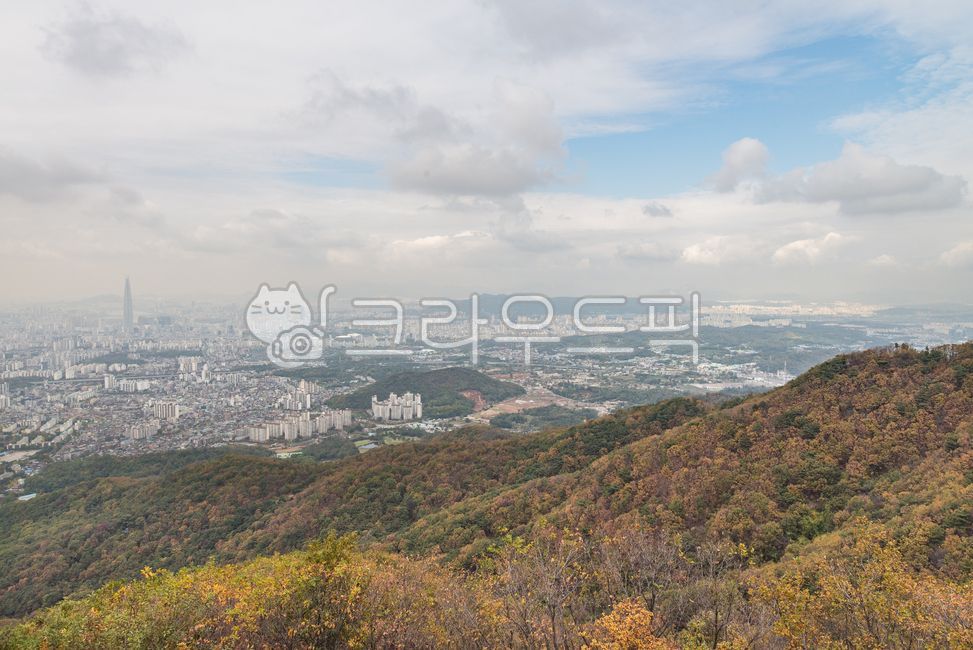 가을,가을배경,배경,바탕,단풍숲,계절,시즌,season,outdoor,옥외,야외,식물,plant,autumn,fall,background,tree,산,forest,가을풍경,돌담,단풍산,가을산,한국전통,힐링,healing,자연,풍경,landscape,outdoors,mountain