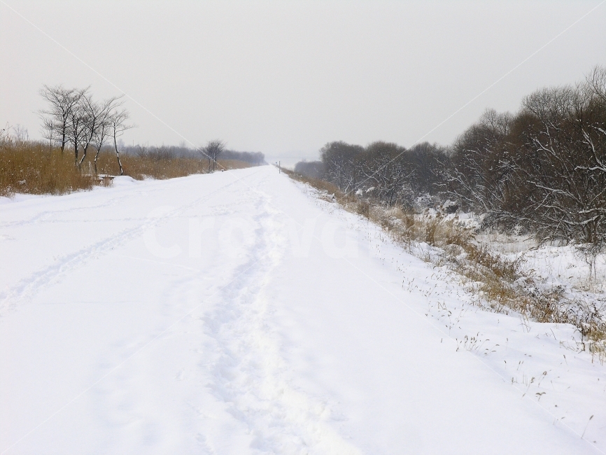 겨울풍경,설경,강변,눈길,끝없는,road,발자욱,흔적,인적없는,힐링,나무,눈,겨울,흰눈,하얀,백색,눈부신,산행,시안,사보,카다로그,브로셔,뉴스레터,자료,출판,편집,콘텐츠,전단,느낌,잡지,광고,단행본,서적,환경,sns,포스터,홍보용,ebook,winter,snow,길,시즌,season,야외,자연,식물,투명한,모바일,배경,백그라운드,념,감성,필링,분위기,눈밭,낭만,12월,화이트,휜색,background,white,흰색,풍경,1월,겨울,계절,winter,season,자연,풍경,nature,landscape,한국자연풍경,한국자연경관,korea nature landscape,outdoors,옥외,weather,날씨