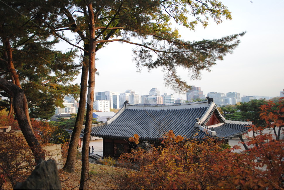 창경궁,가을,단풍,낙엽,changgyeonggung,palace,falll,도시,city,roof,지붕,가을,계절,fall,autumn,season,한국전통,한국문화,korean traditional,korean culture