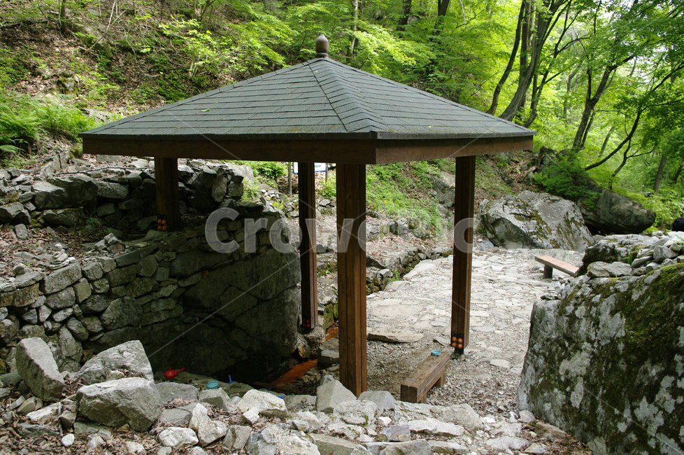 약수터,지붕,산길,바위,숲,건축물,건물외관,exterior,building,structure,architecture,construction