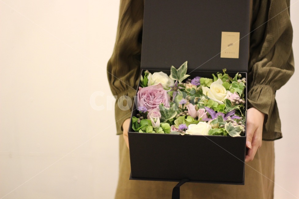 선물,식물,plant,꽃꽂이,선물상자