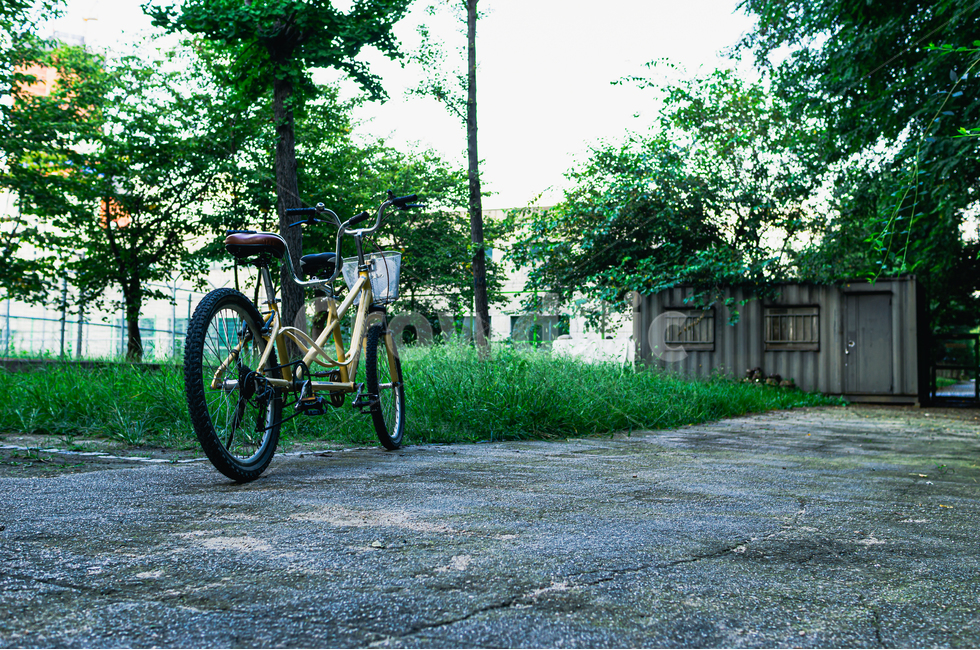 bicycle,vehicle,bike,자전거,wheel,바퀴,machine,기계