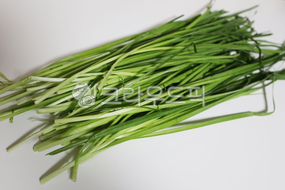 부추,부추요리,파요리,겉절이,부추겉절이,잎,요리,농업,향신료,비타민,자르다,샐러드,재료,날것의,파,채소