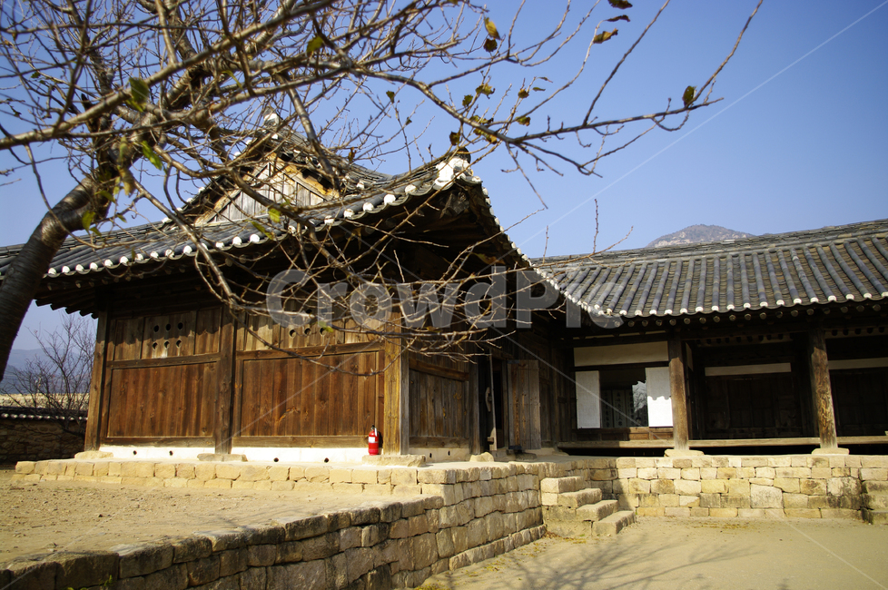 전통가옥,한국,기와집,기와지붕,한옥,나무,한국전통,한국문화,korean traditional,korean culture,건축물,건물외관,exterior,building,structure,architecture,construction