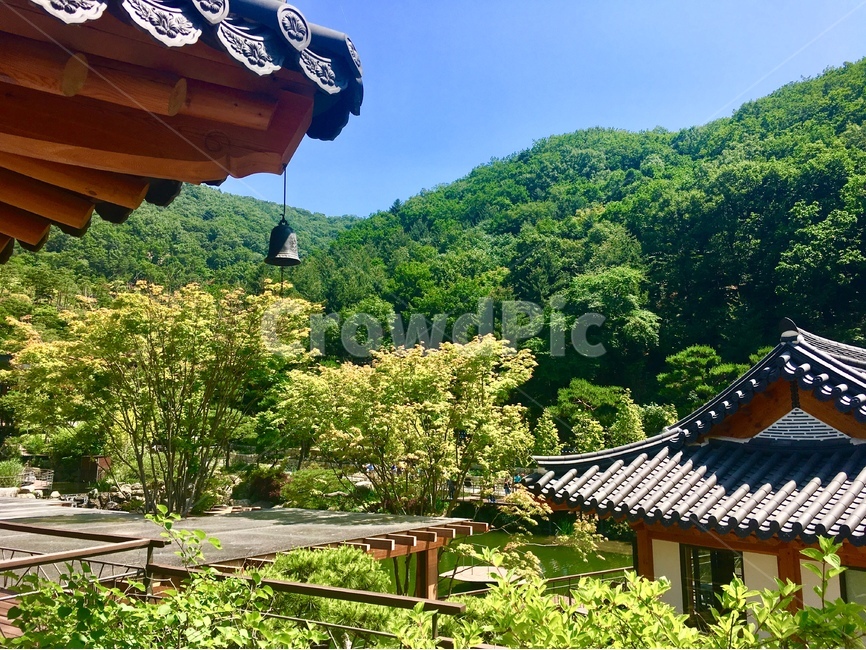 기와,산,처마,풍경,기와집,처마끝,처맛끝,기와끝,산과기와,자연배경,한국배경,백그라운드,자연,풍경,nature,landscape,한국자연풍경,한국자연경관,korea nature landscape,한국전통,한국문화,korean traditional,korean culture,건축물,건물외관,exterior,building,structure,architecture,construction,outdoors,옥외