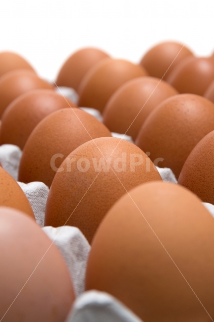 달걀,계란,음식재료,식재료,다이어트,누끼,요리재료,바탕,배경,이미지,배경이미지,단백질,컨셉,컨셉트,콘셉,콘셉트,음식,음식물,요리,식량,식료품,신선한,프레쉬,후레쉬,식자재,생명,프로틴,하얀,흰,흰색,화이트,농업,영양,유기농,항생제,껍데기,생활,식생활,헬스,식단,신선,영양분,음식,식재료,요리,food,cook,meal,dishes,food reserves