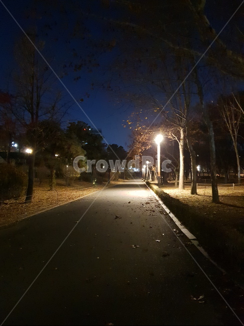 공원,산책,밤산책,road,tarmac,가을밤
