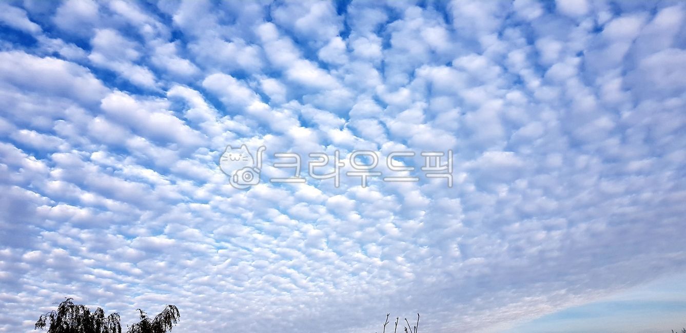 nature,outdoors,weather,sky,cumulus,cloud,자연,옥외,날씨,하늘,구름,적운,양떼구름,양털구름