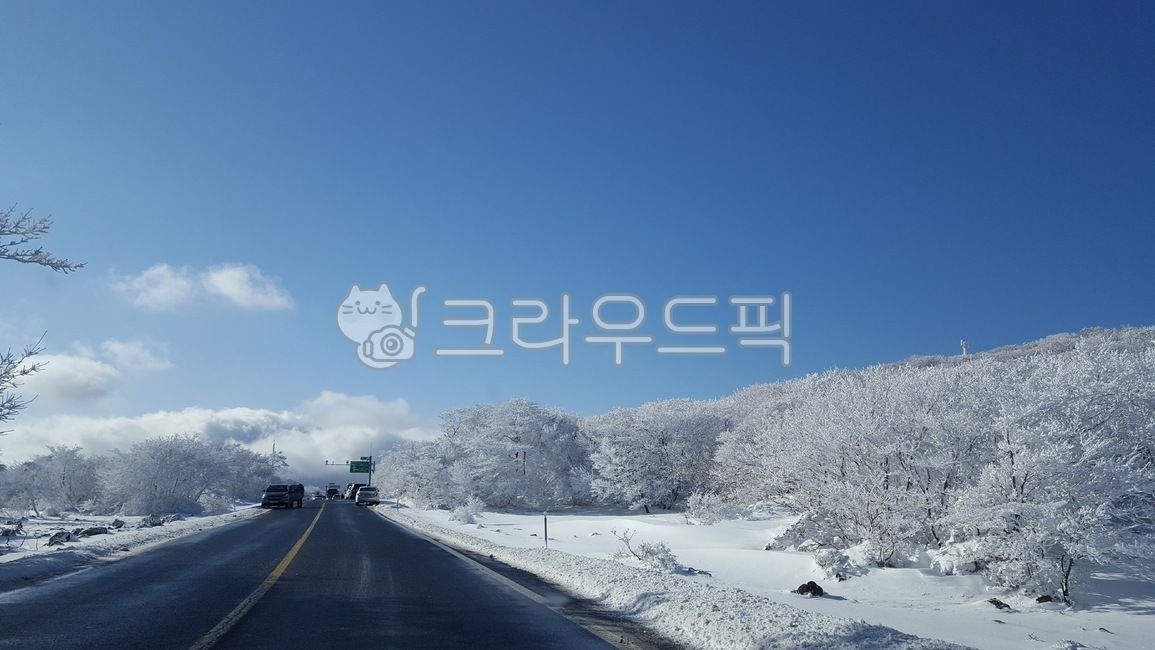 눈,한라산길,겨울산,snow,겨울도로