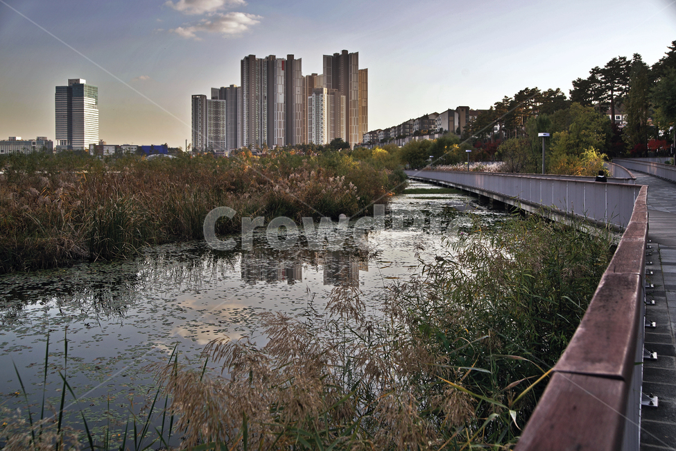 광교호수공원,영통,수원,공원,아파트,원천저수지,탐방로,수초,도시,풍경,city,landscape,한국도시풍경,한국도시경관,korea cityscape