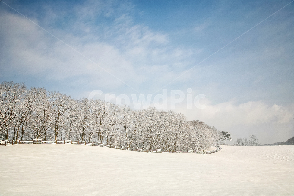 설경,설원,겨울,눈,스노우,화이트,겨울풍경,계절,겨울,계절,winter,season