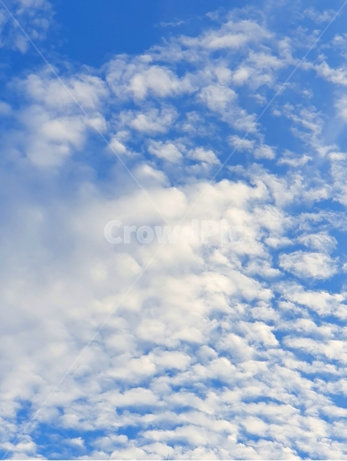 하늘,파란하늘,구름,적층운,clouds,sky,bluesky