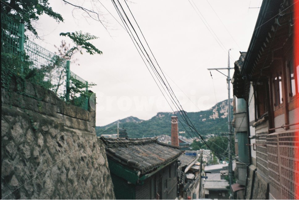 한옥,한옥마을,산,나무,길가,골목길