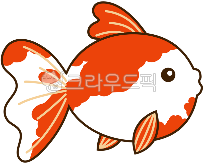 바다물고기,물고기일러스트,물고기그림,sealife,fish,animal,해양생물,동물,금붕어,goldfish,물고기,redfish,fishillust,빨간물고기
