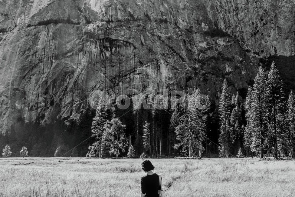 풍경,감성,자연,분위기,필름,흑백,절벽,나무,뒷모습,단발,자연,풍경,nature,landscape,사람,인물,인간,human,person,여성,여자,woman,female,lady,고독함,외로움,쓸쓸함,우울함,슬픔,lonely,solitary,흑백,모노톤,monochrome,black and white,plant,식물,tree,fir,전나무