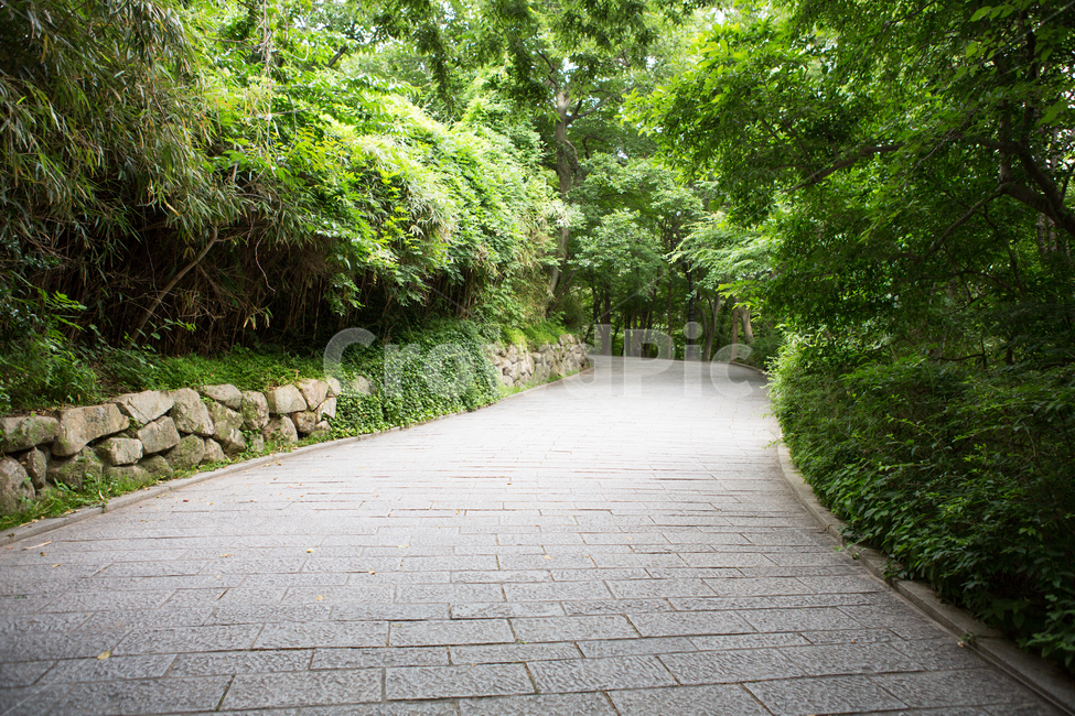 길,불국사,나무,nature,자연,도로,road,bulguksa,자연,풍경,nature,landscape,outdoors,옥외,flagstone,판석,garden,정원,arbour,정자