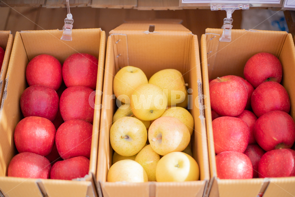 사과,apple,과일,fruit,food,음식,음식,식재료,요리,food,cook,meal,dishes,food reserves,과일,열매,fruit