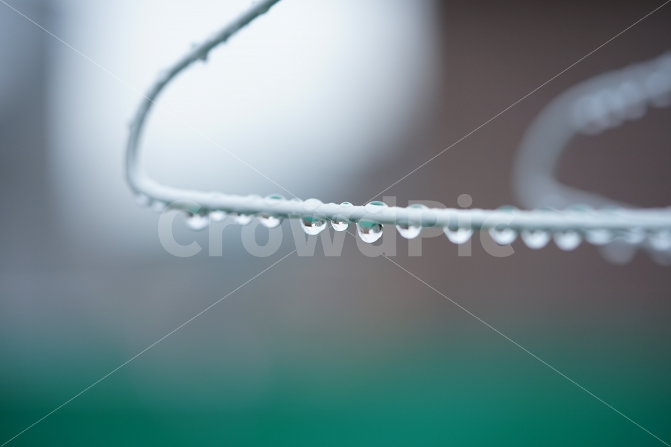 	물방울,빗물,비,물,접사,감성,감성사진,느낌,풍경,비오는날,레인,rain,옷걸이,빗소리,워터,일상,풍경사진,감정,비,비오는날,rain,rainy,감성,sensible,feeling