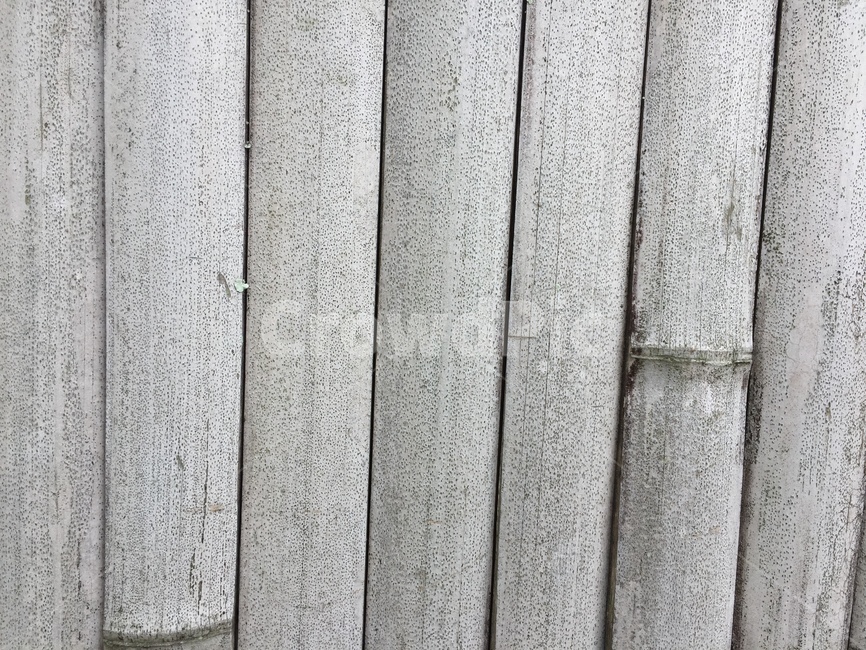 대나무,배경,패턴,무늬,질감,bamboo,텍스처,질감,패턴,texture,pattern