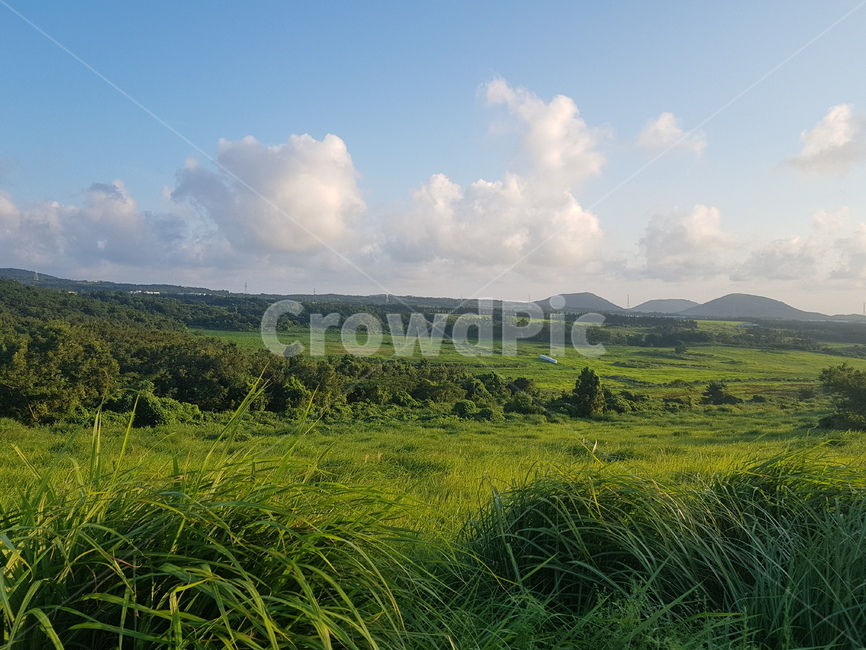 nature,자연,outdoors,옥외,grassland,목초지,field,들,countryside,한지방,제주오름,제주도,제주,풀,초록,파랑,구름,하늘,sky,뭉게구름,오름,들판,자연,풍경,nature,landscape