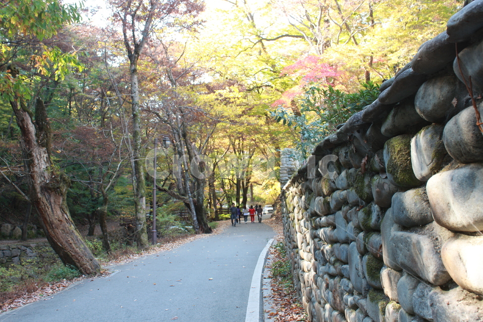 wall,벽,person,사람,human,인간,길,가을길,가을,묵상