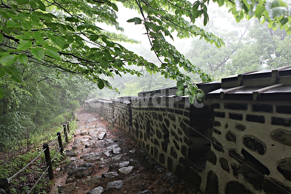 남한산성,성,성곽,길,둘레길,숲,숲길,벽,안개,돌담,담,여름,풍경