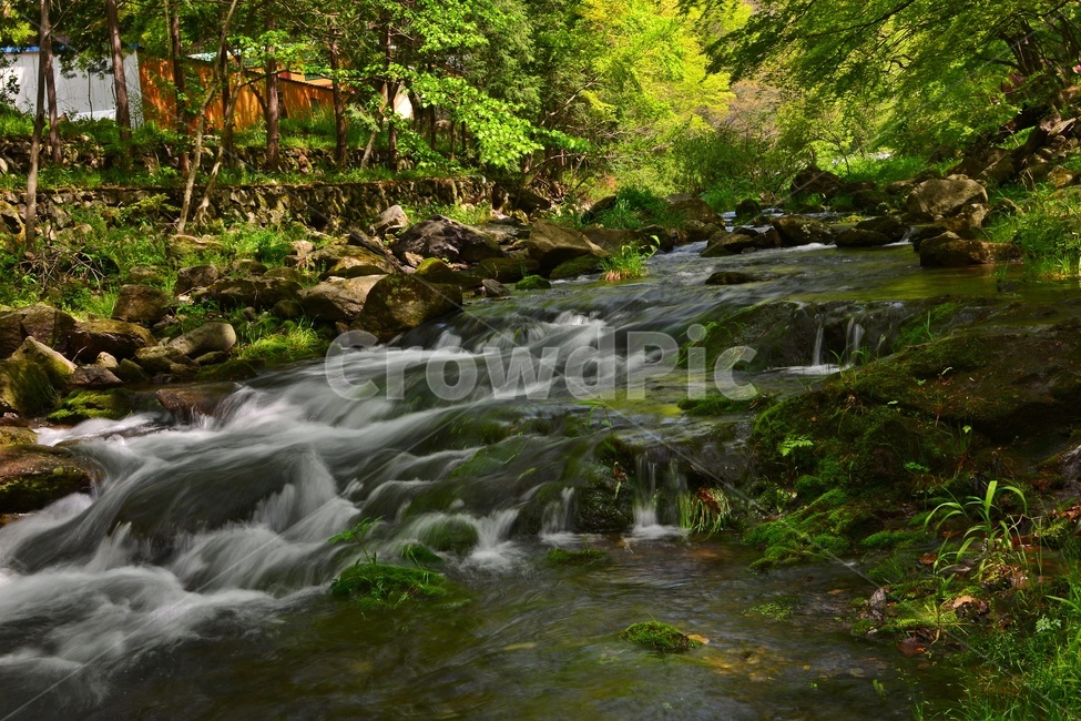 stream,흐름,장성,백양사,신록,연두색,봄,계절,nature,자연,water,물,outdoors,옥외,자연,풍경,nature,landscape,한국자연풍경,한국자연경관,korea nature landscape