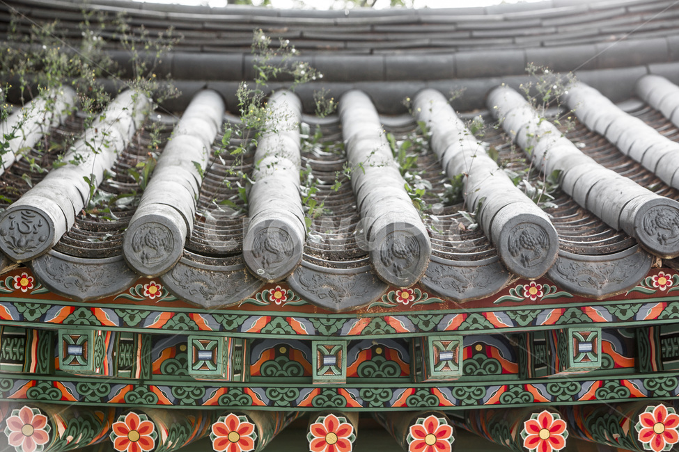 기와,선,사찰,문양,무늬,단청,문화유산,한국전통,한국문화,korean traditional,korean culture,건축물,건물외관,exterior,building,structure,architecture,construction