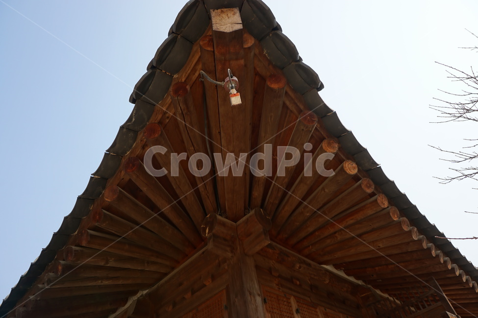 경복궁,궁,대청,하늘,나무,한국전통,한국문화,korean traditional,korean culture,건축물,건물외관,exterior,building,structure,architecture,construction