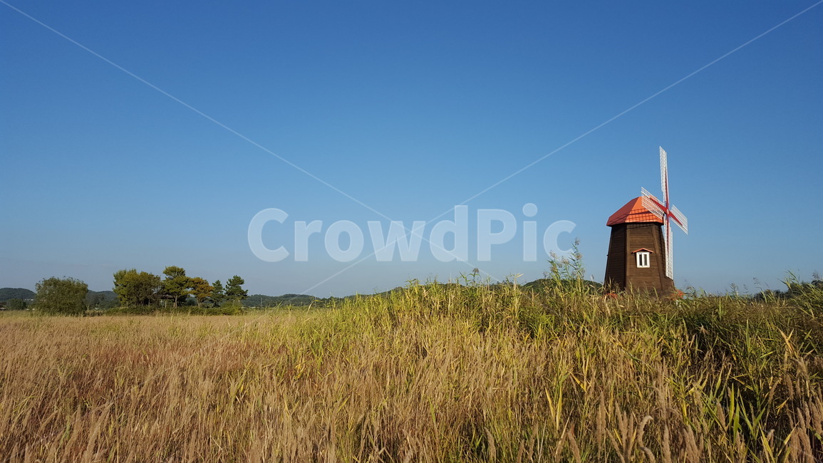 풍차,풍경,하늘,가을,자연,소래습지생태공원,windmill,landscape,sky,fall,autumn,nature,soraeecopark