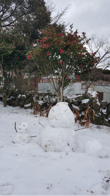 눈사람,nature,자연,outdoors,옥외,snow,눈,winter,겨울,snowman